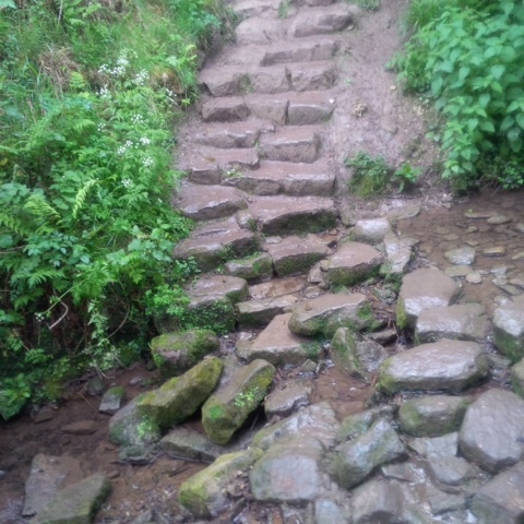 Steps