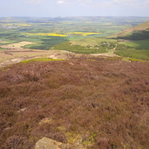 Roseberry Topping