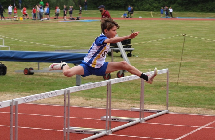 Hurdles